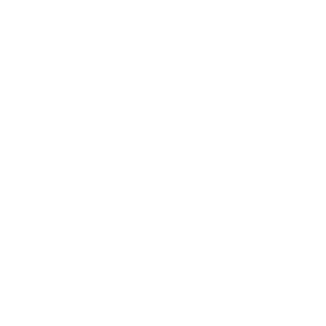 KittyNet Logo